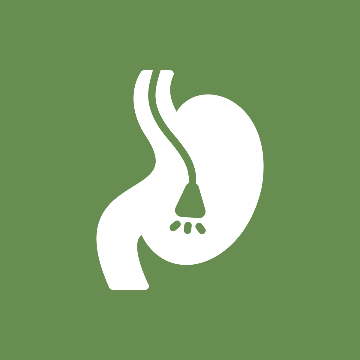 endoscopia clinica veterinaria canis