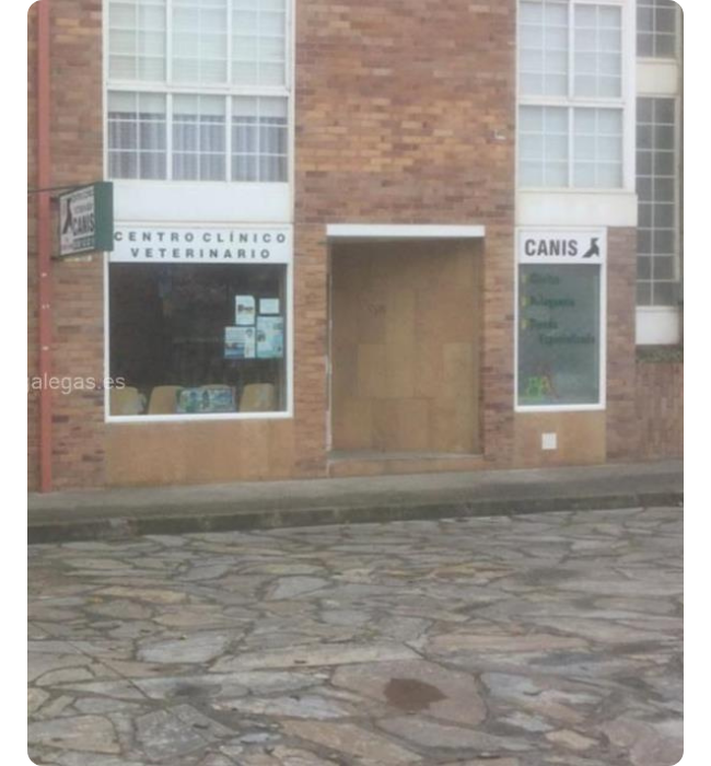 canis pajaritas a coruña