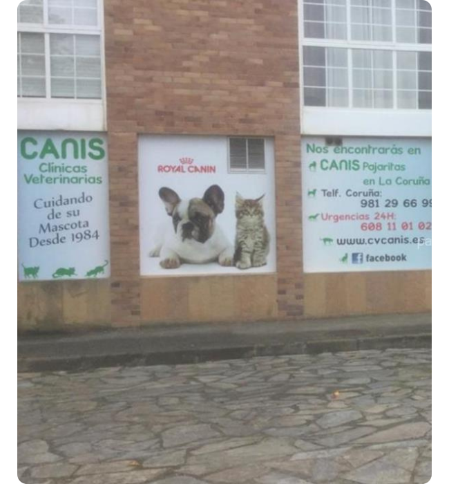 canis pajaritas a coruña